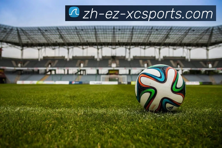 杏彩体育平台生态图