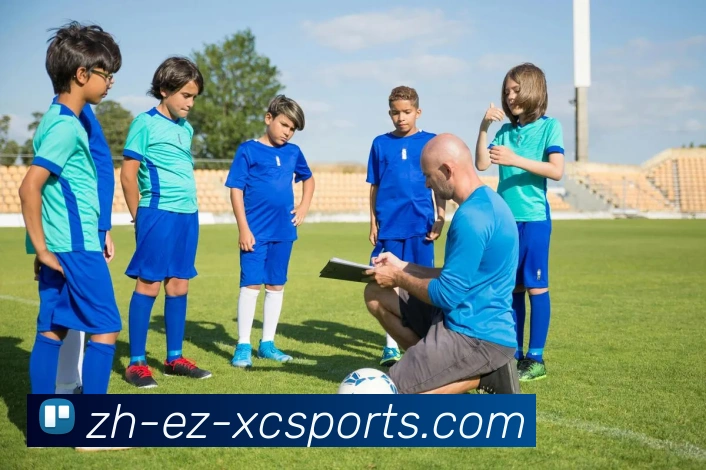 杏彩体育APP 封面图